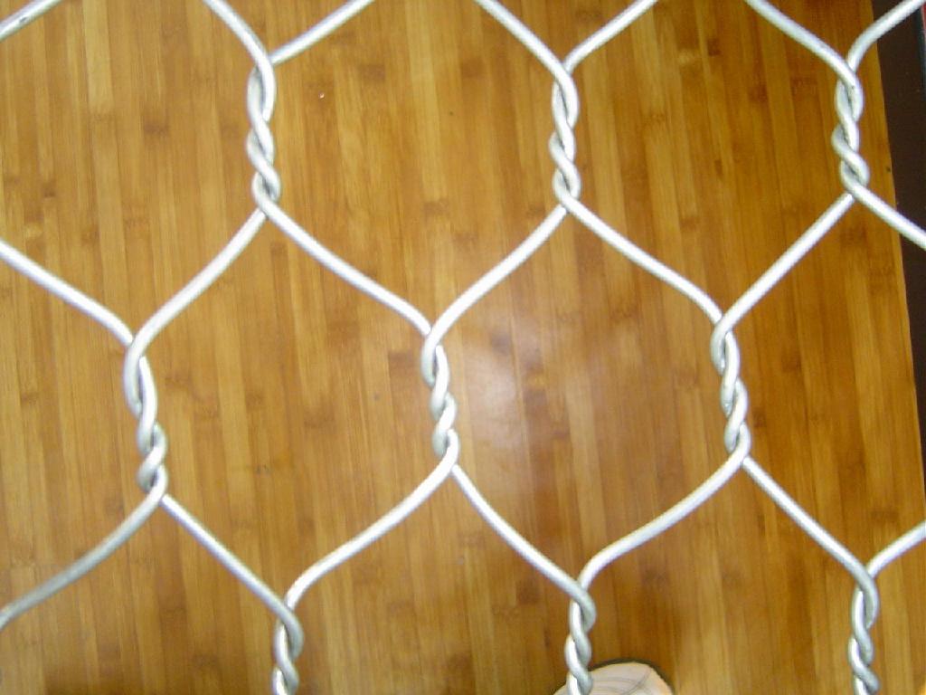 Hexagonal Wire Mesh