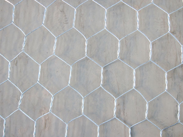 Hexagonal Wire Mesh