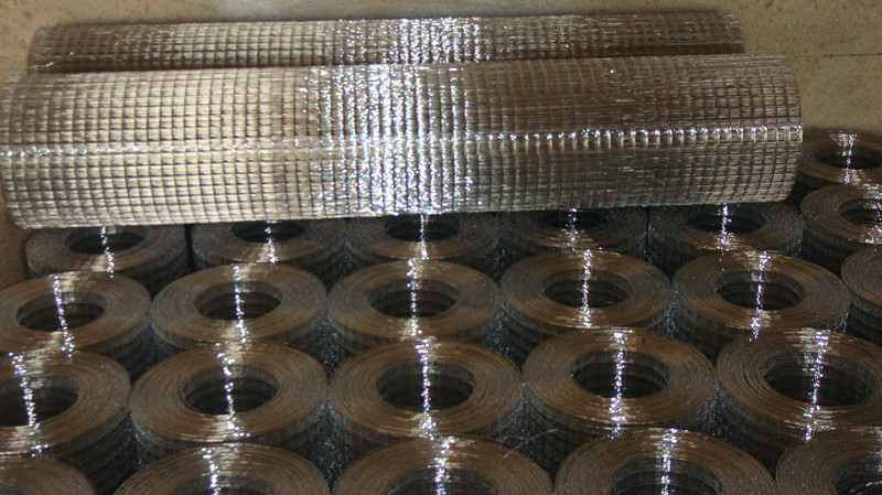 Welded Wire Mesh