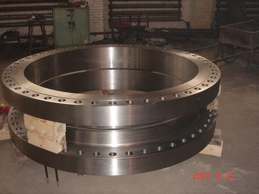 Stainless Steel Flange