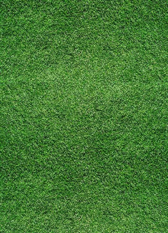 SPORSAN ARTIFICIAL TURF