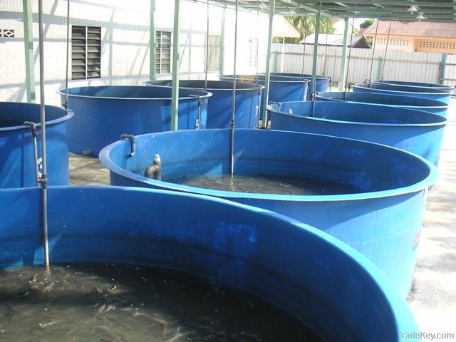 Fibreglass aquatic tank , fish tank