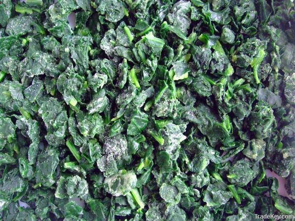 IQF Frozen Spinach
