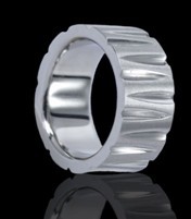 stainless steel/ titanium ring