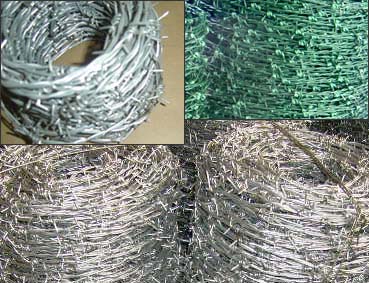 barbed wire mesh