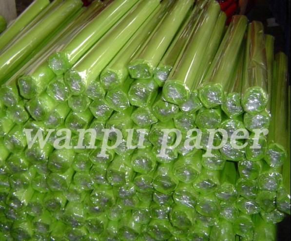 Acid free Tissue Paper