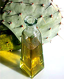 Prickly pear seeds oil