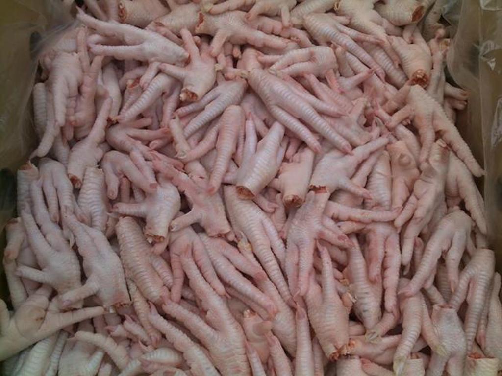 Processed Chicken Claw with Halal Certificate