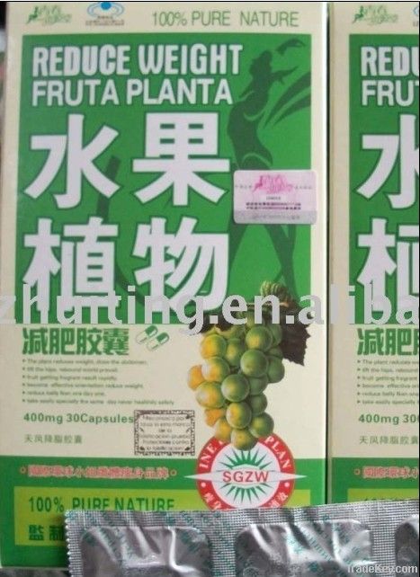 100% Pure Natural Reduce Weight  Fruta Planta Slimming Capsule