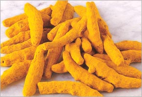 Sell turmeric, turmeric powder, indian turmeric, erode turmeric