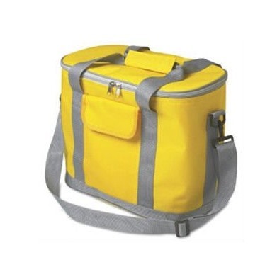 lunch cooler bag