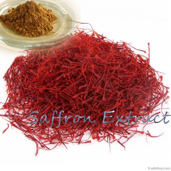 100% Natural Saffron Extract for Anti-Cancer and Anti-Aging