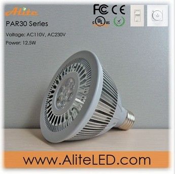 Dimmable PAR30 led light