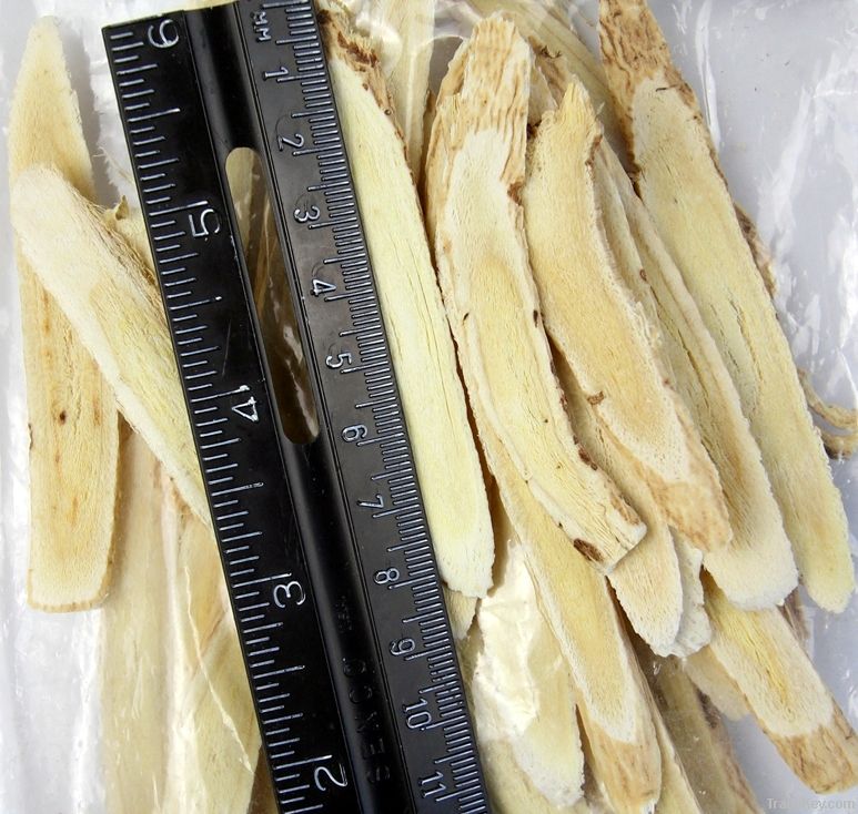 Astragalus Root slice