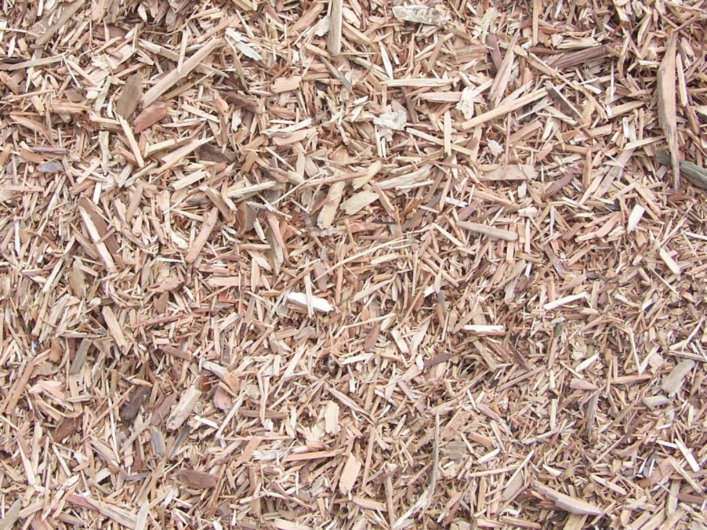 Wood chips for Paper 
