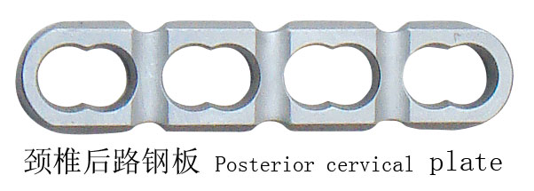 Posterior cervical plates
