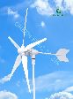 600w City Swallow wind turbine/generator