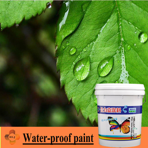 Water-proof paint