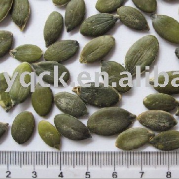 Non-GMO GWS grown without shell Pumpkin seed