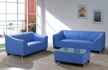 leather sofa WL509