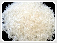 Polypropylene