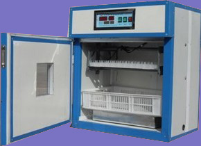 super poultry egg incubator small YZTIE-5 (CE approved!)