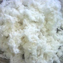 Textile Fibre: Cotton, Polyester, Acrylic & Viscose Fibres