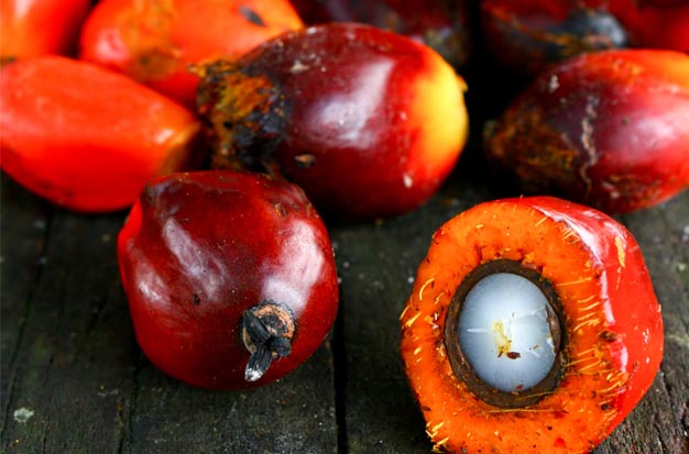 Crude Palm Oil