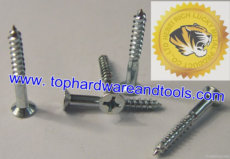 Countersunk Screw/Flat Head Self-Tapping Screw