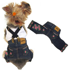 pet clothes