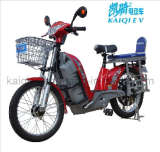 electric bicycle TDL909z