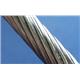 Stainless Wire Rope