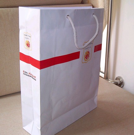Fashion coated paper bag