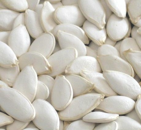 Snow white pumpkin seed