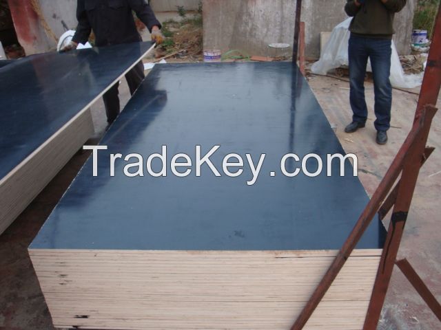 cheap price film faced plywood