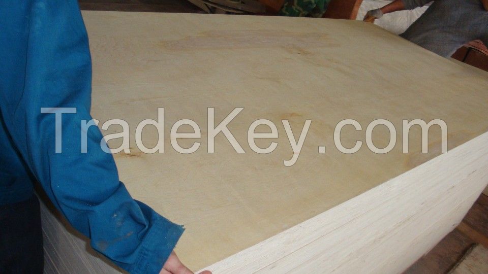 poplar commercial plywood