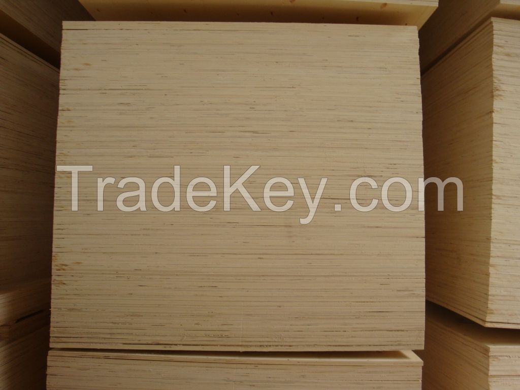 birch commercial plywood 