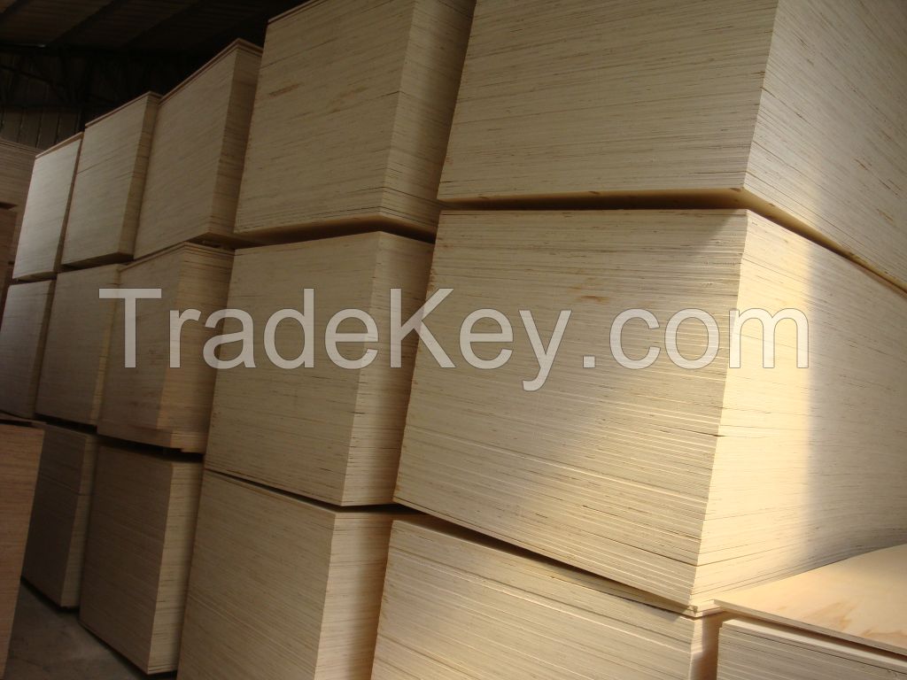 birch commercial plywood 