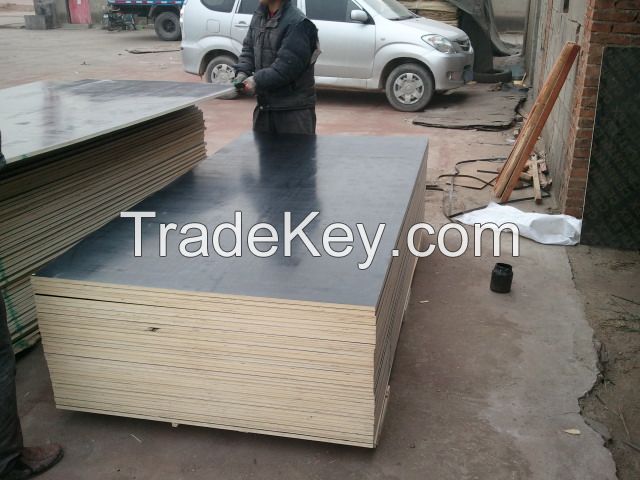good quanlity film faced plywood