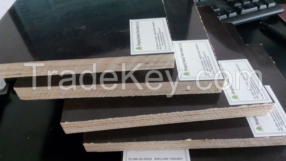 Commercial Plywood, WaterProof Plywood, Film Plywood