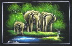Thumpath rana (elephant family)