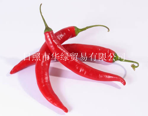 China Fresh Pepper