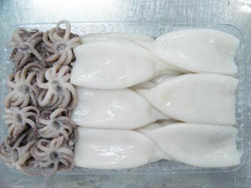 Frozen Squid