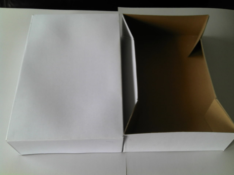 PE lined solid cardboard Box for meat poulty fish