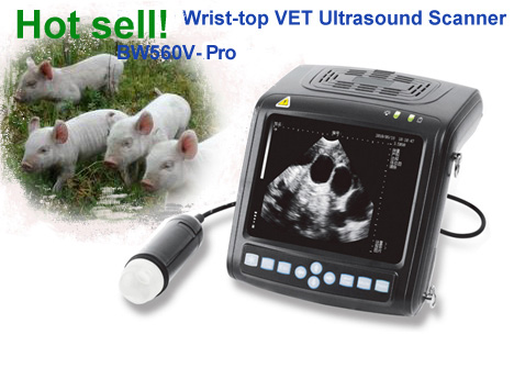 Digital Wrist-Top Veterinary Ultrasound Scanner (BW560V)