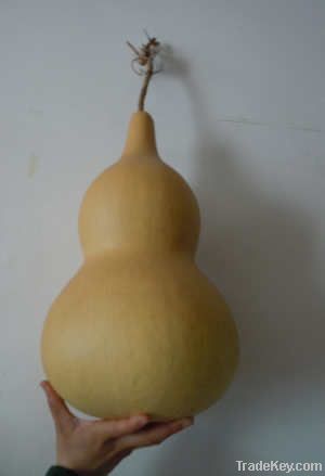 Bottle Gourd  gift and craft