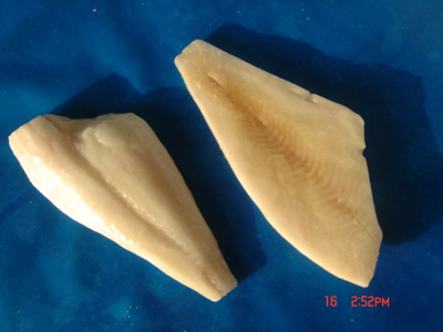 frozen yellow finsole fillets