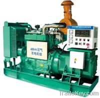 40kw (bio)gas generator sets