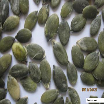 Shine skin  pumpkin seeds  grade AA from Northeast