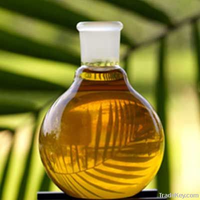 Palm Kernel Oil